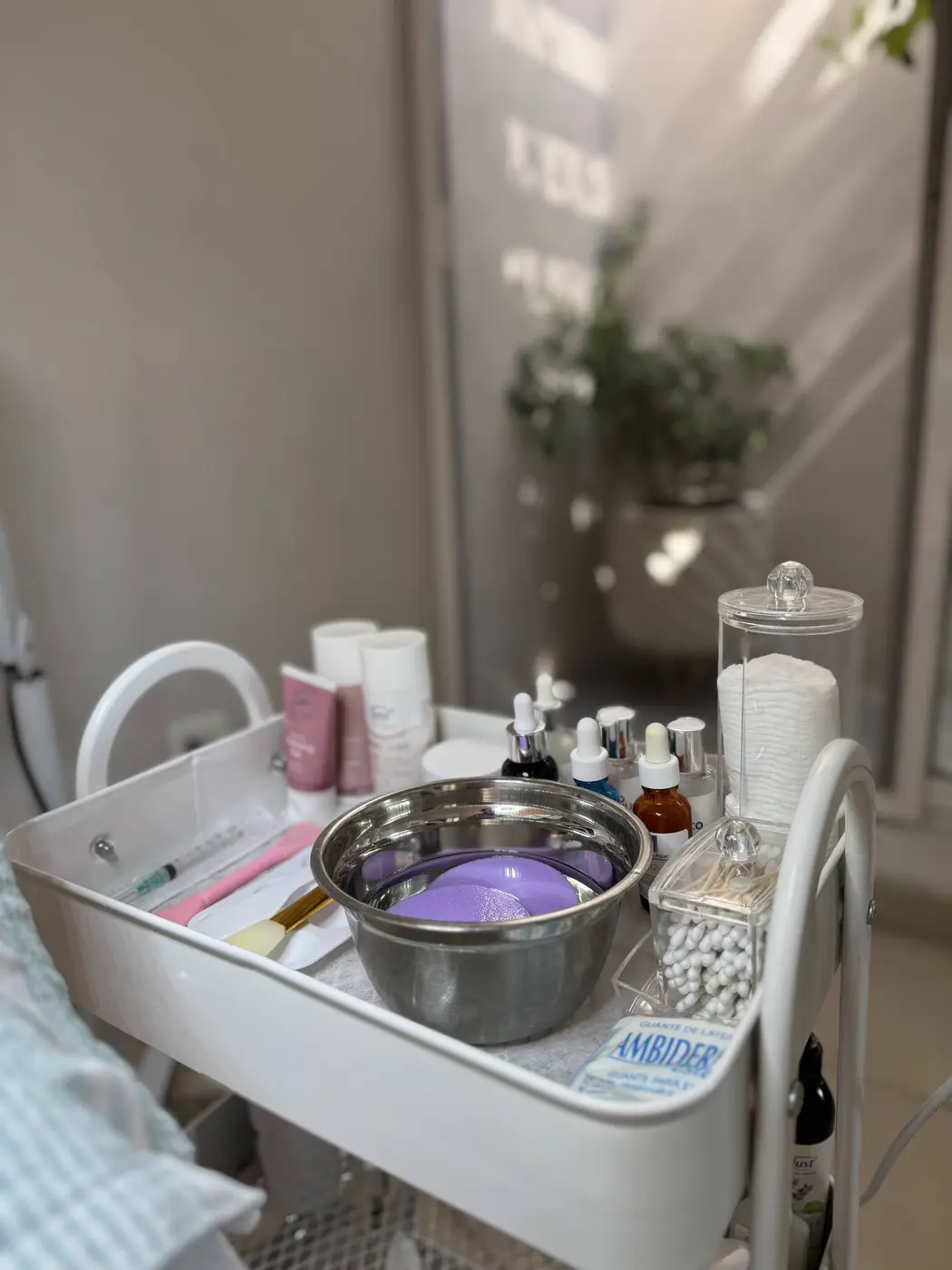 Insumos y productos profesionales para tratamiento facial